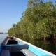 Naviguer sur le fleuve de Ndangane à Djiffer à bord d’une pirogue de haute mer, 24 mètres de long pour près de 4 mètres de large, embarcation que l’on rencontre plus souvent au large des côtes, le Xaluca.