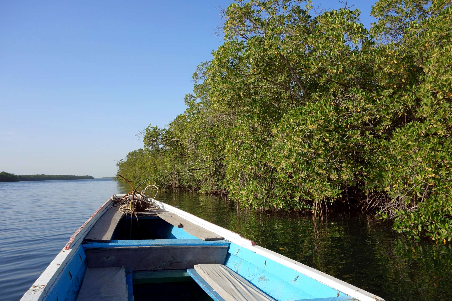 Naviguer sur le fleuve de Ndangane à Djiffer à bord d’une pirogue de haute mer, 24 mètres de long pour près de 4 mètres de large, embarcation que l’on rencontre plus souvent au large des côtes, le Xaluca.