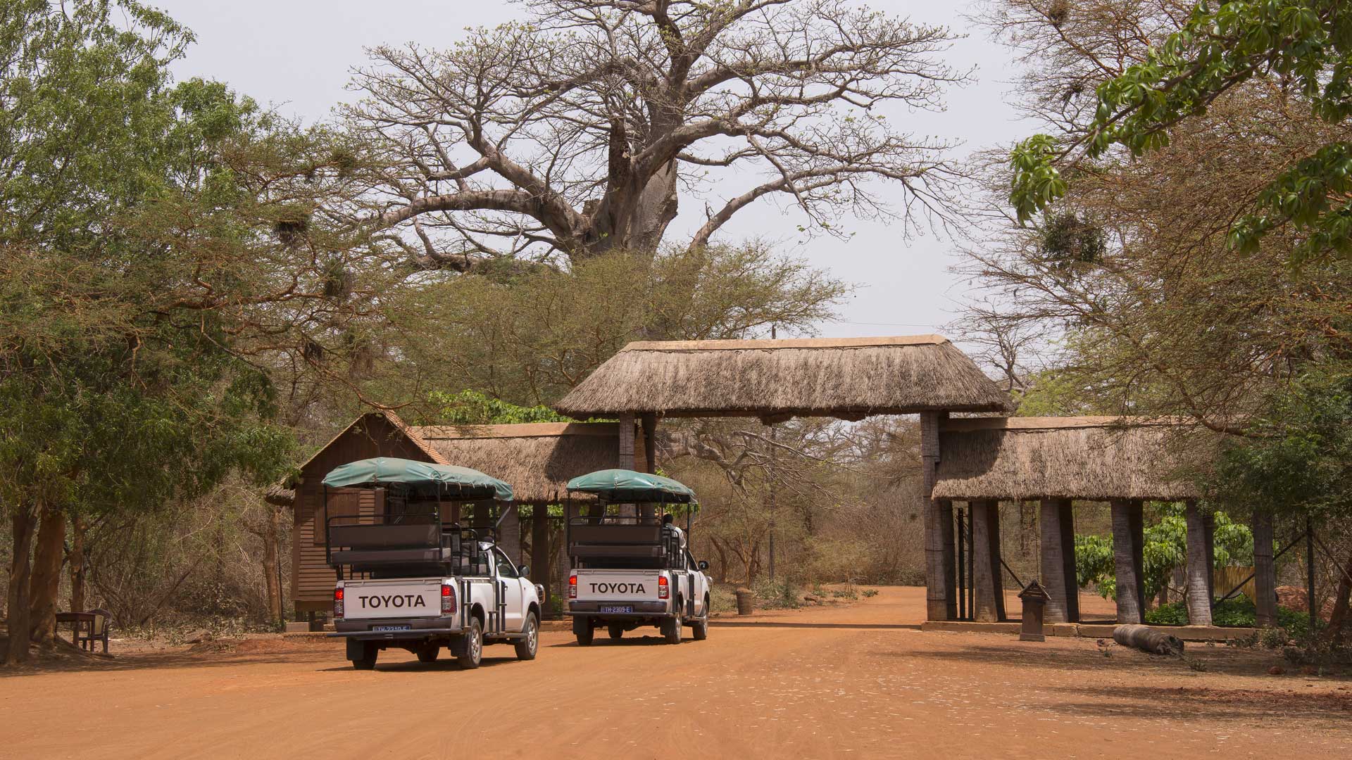 Un petit joyau de réussite écologique par la régénération surprenante de sa flore et la réintroduction de grands mammifères d’Afrique.