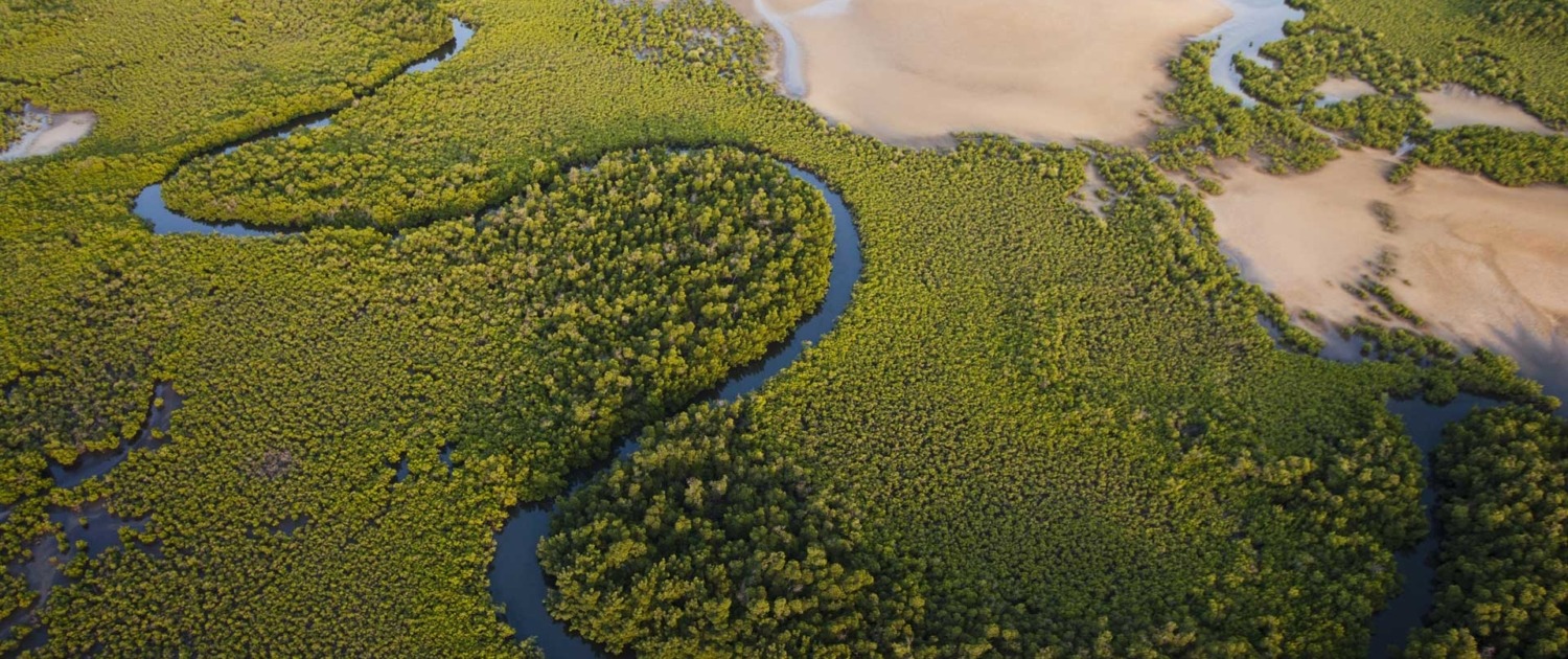 Détente au bord d’une des rives du Delta du Sine Salou ou balade en pirogue dans les bolongs pour observer les oiseaux ou initiation à la pêche traditionnelle.